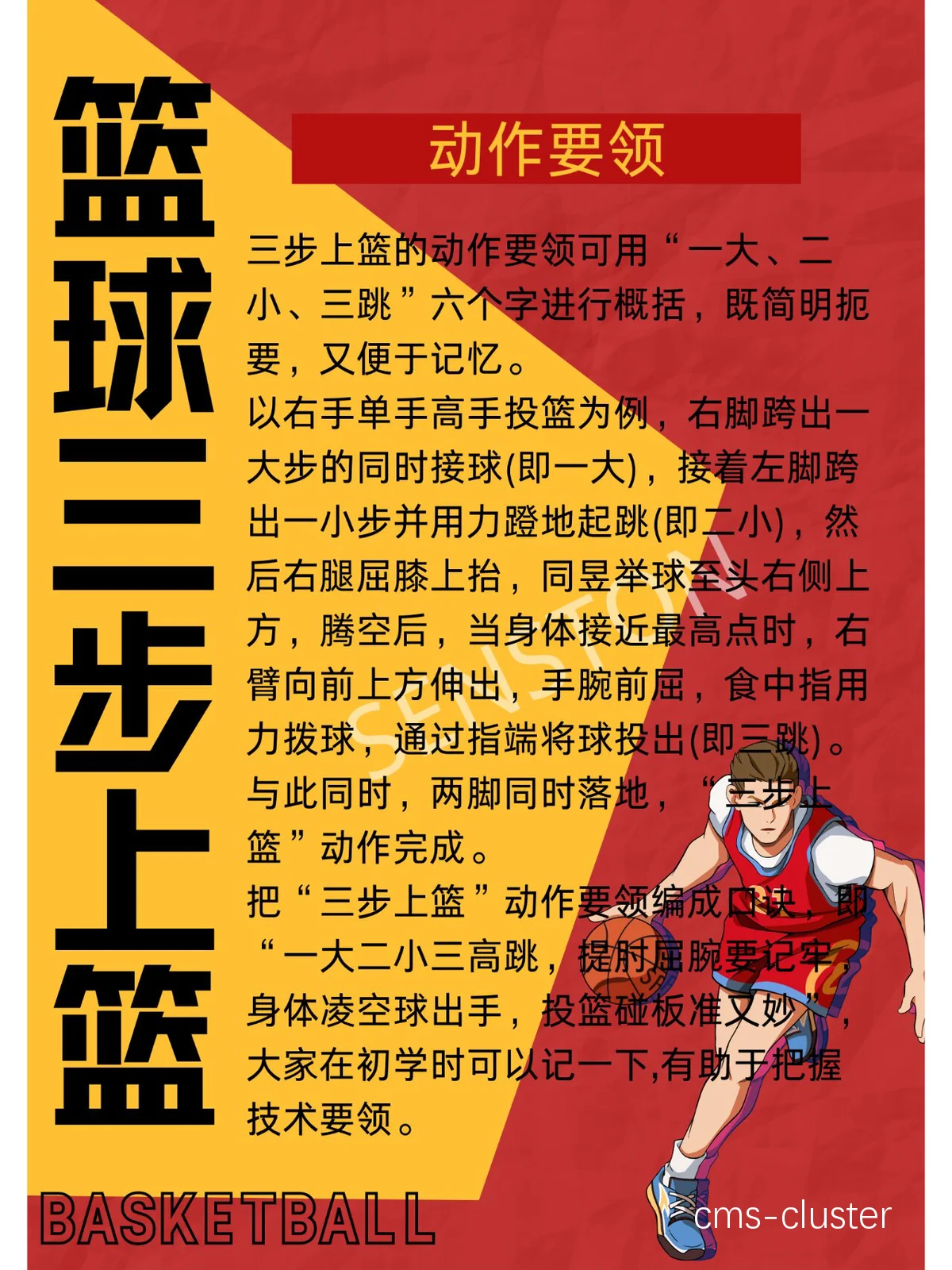 如何通过篮球开放训练增强团队配合