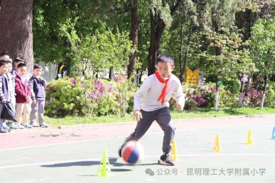 篮球每周训练计划怎么写的_0