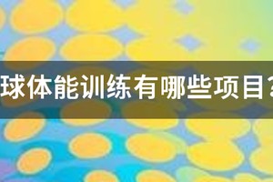 篮球运动员体能训练主要哪几项